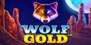 Wolf Gold Tragamoneda